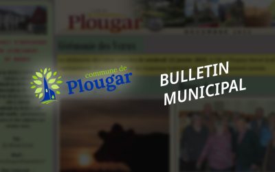 BULLETIN MUNICIPAL DE AVRIL 2025 SUITE